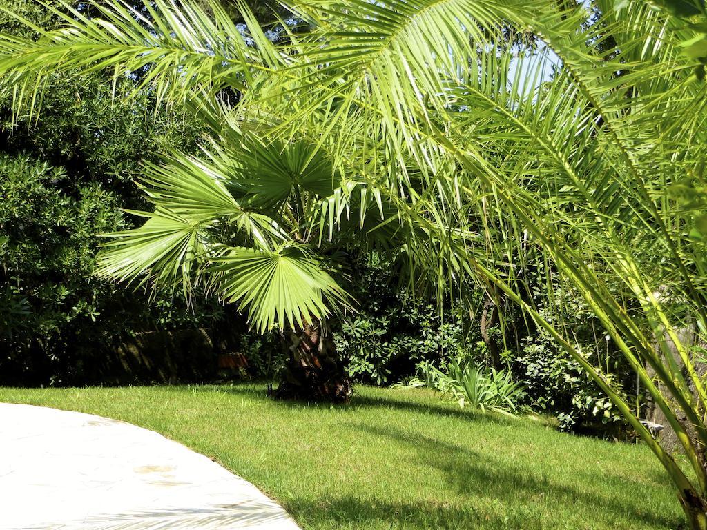 Appartement Dans St Raphael Saint-Raphaël