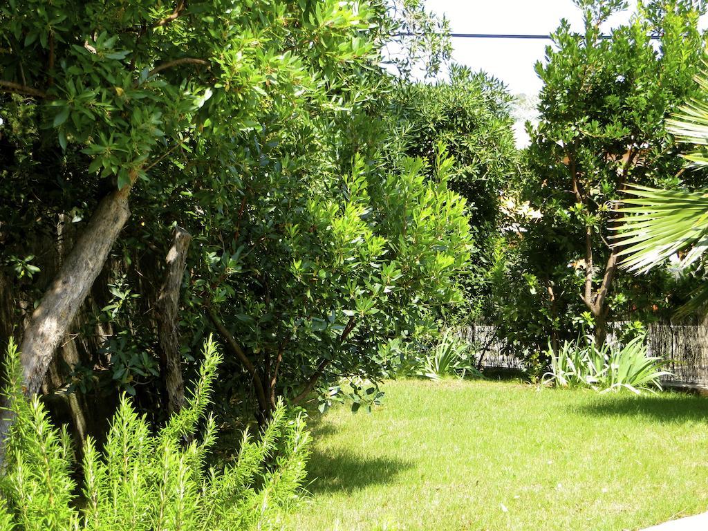 Appartement Dans St Raphael