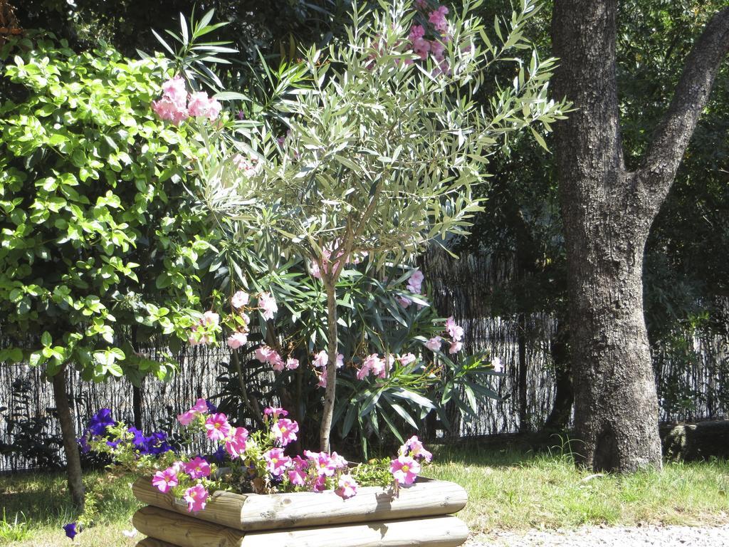 Apartment Dans St Raphael *