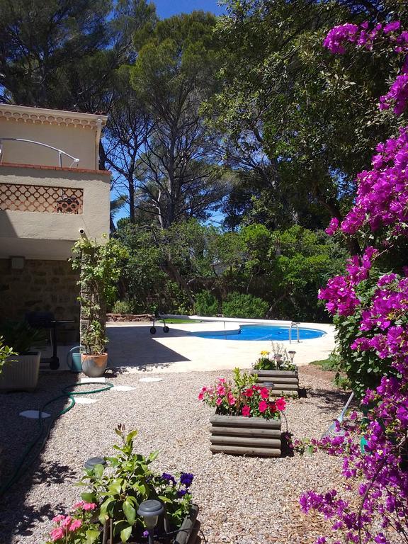 Apartment Dans St Raphael