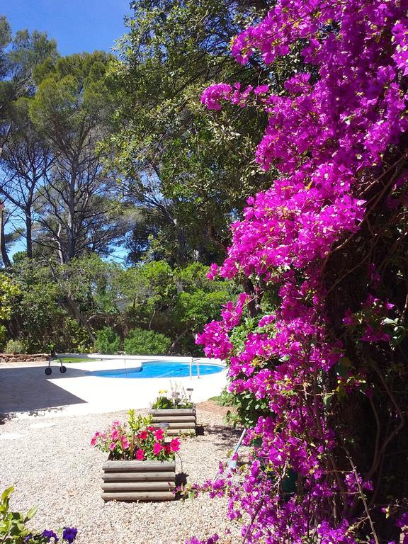 Dans St Raphael *